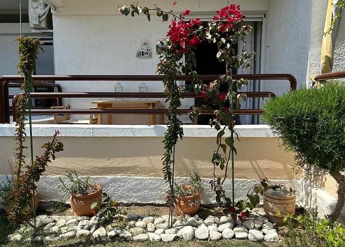 Mari E Monti