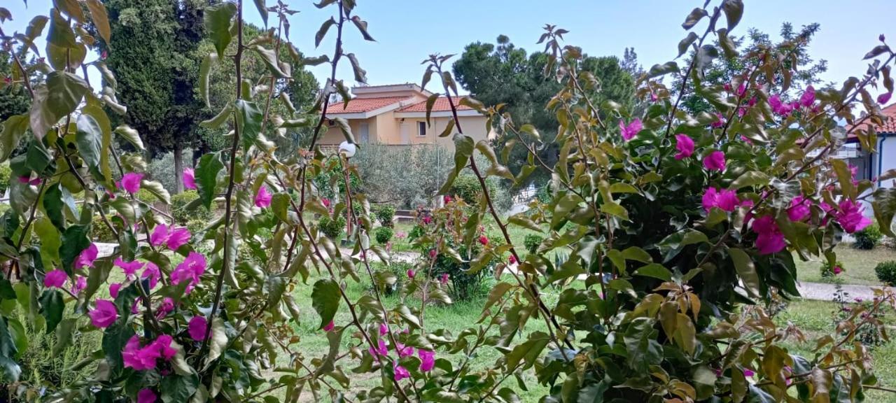 Mari E Monti Apartment Palaiontsiflikion